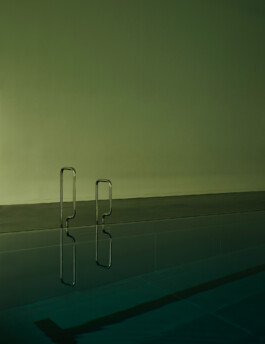 snakesandfunerals.at