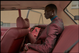 snakesandfunerals.at