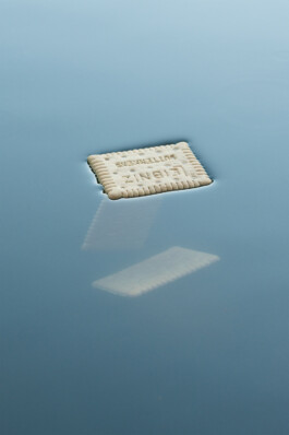 snakesandfunerals.at