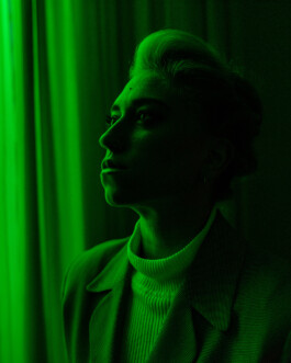 snakesandfunerals.at