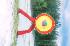 snakesandfunerals.at