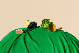 snakesandfunerals.at