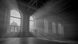 snakesandfunerals.at