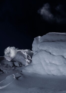 snakesandfunerals.at