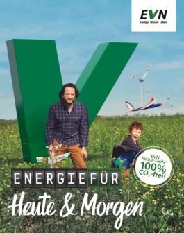 snakesandfunerals.at