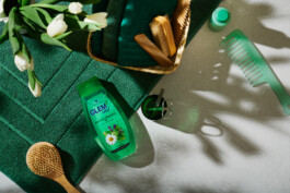 snakesandfunerals.at