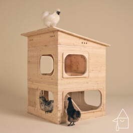 snakesandfunerals.at