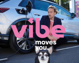 snakesandfunerals.at